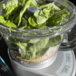 Pesto ingredients in a food processor